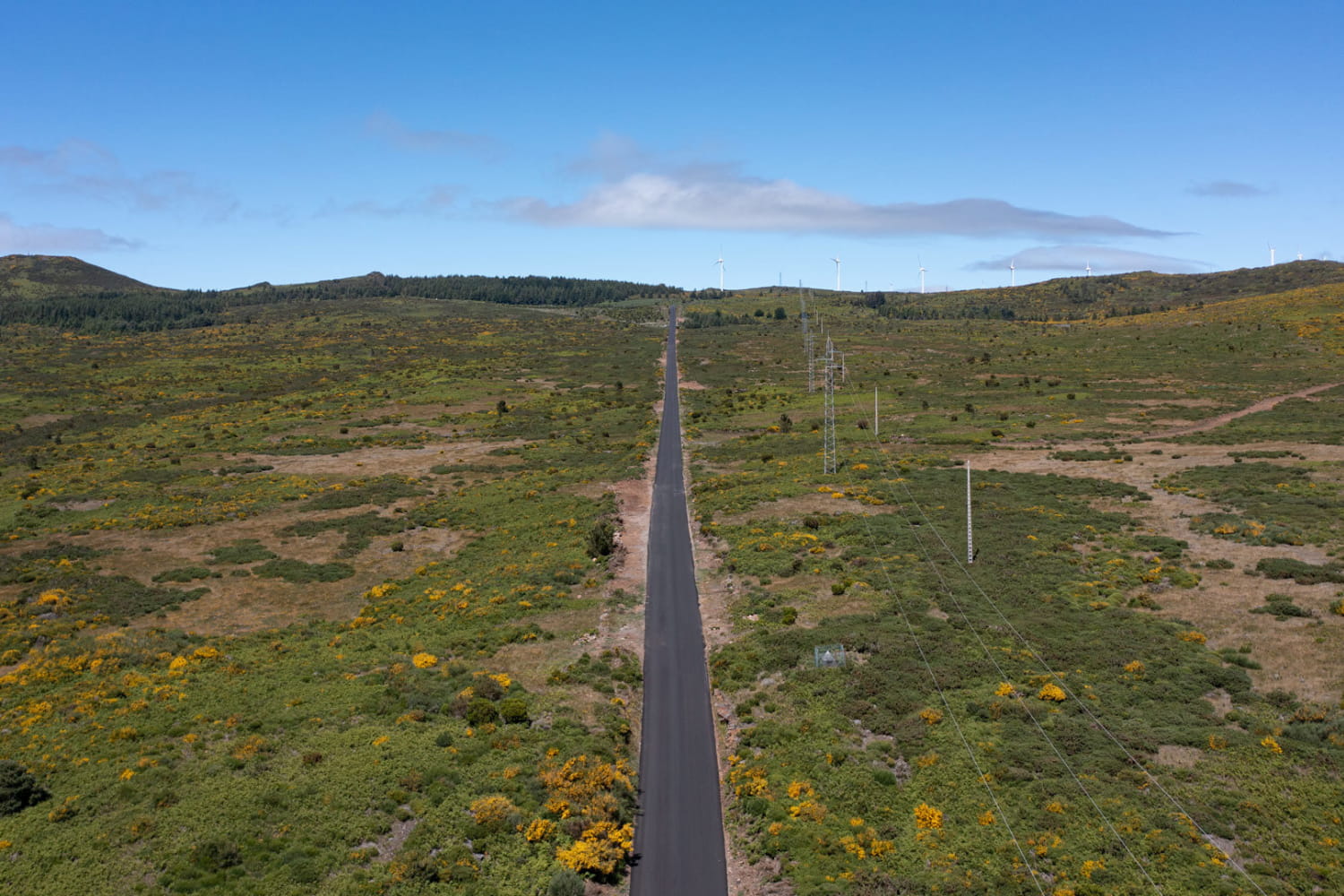 Landscape of Madeira's Southwest road