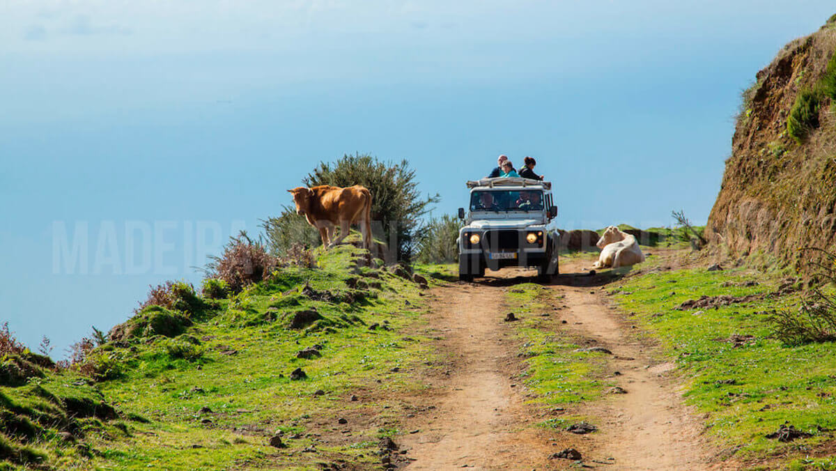 JEEP SAFARI